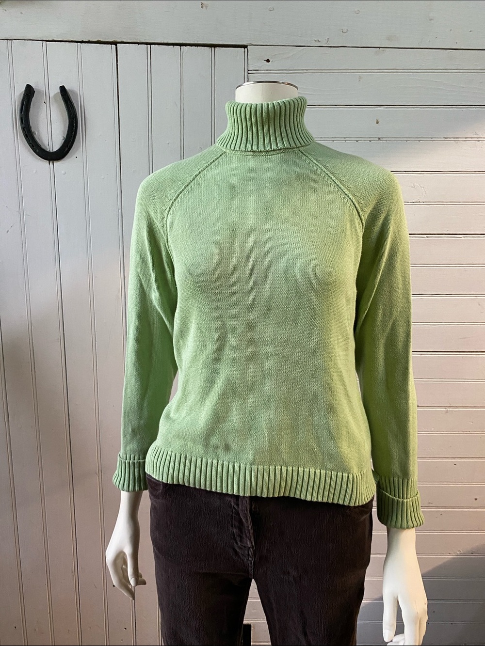 JEANNE PIERRE Light Green Turtleneck Sweater